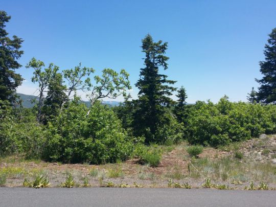 Whispering Pines Lot 7, Virgin, UT 84779