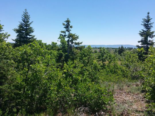 Whispering Pines Lot 7, Virgin, UT 84779