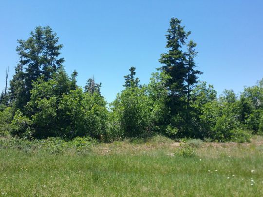 Whispering Pines Lot 7, Virgin, UT 84779