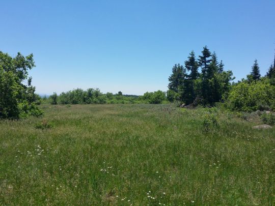 Whispering Pines Lot 7, Virgin, UT 84779