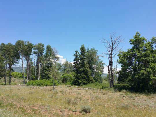 Whispering Pines Lot 27, Virgin, UT 84779