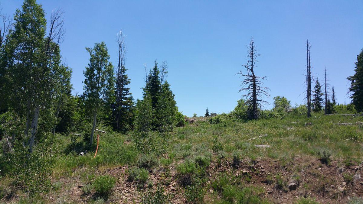 Whispering Pines Lot #57, Virgin, UT 84779