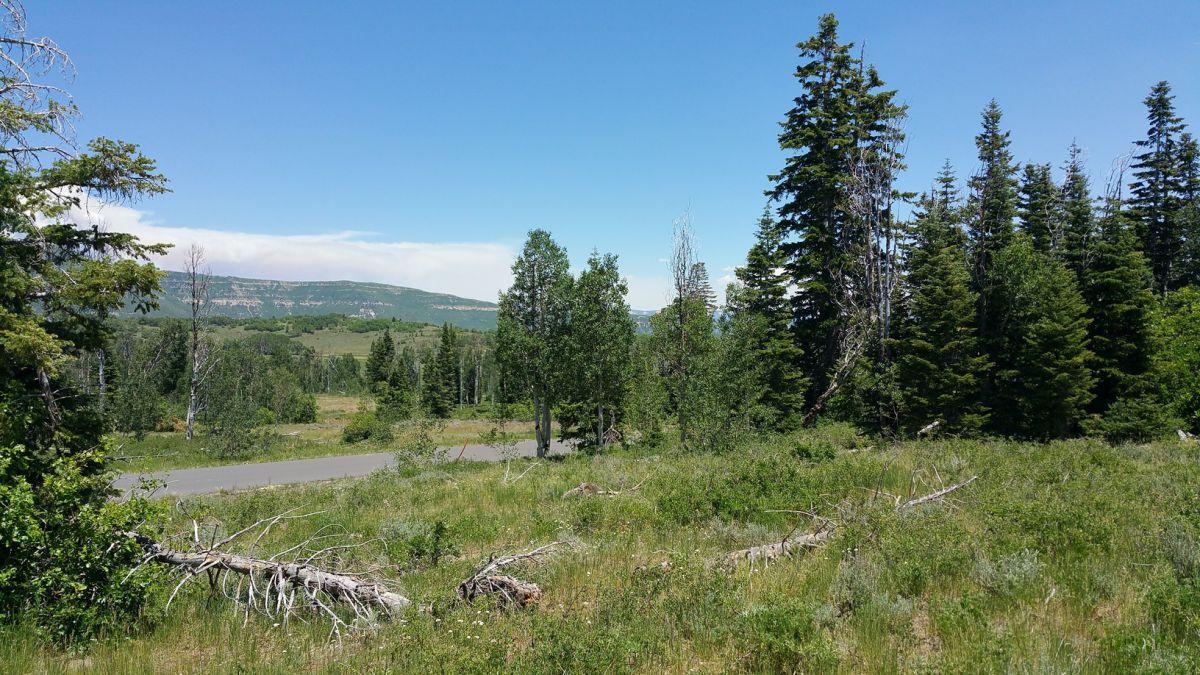 Whispering Pines Lot #57, Virgin, UT 84779
