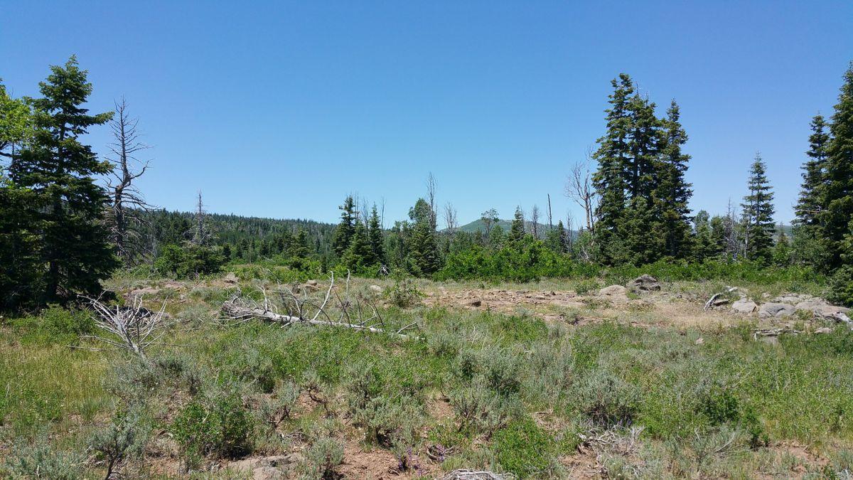 Whispering Pines Lot #57, Virgin, UT 84779