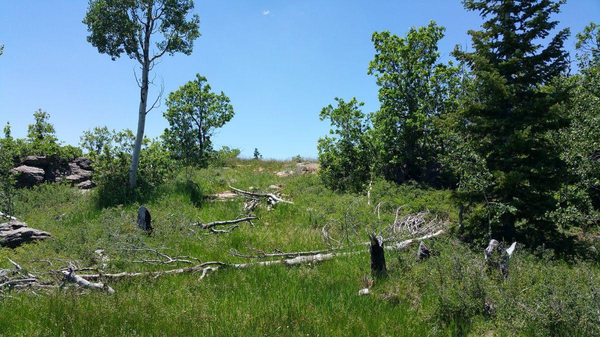 Whispering Pines Lot #23, Virgin, UT 84779