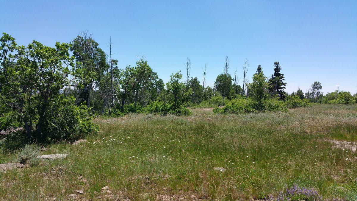 Whispering Pines Lot #23, Virgin, UT 84779