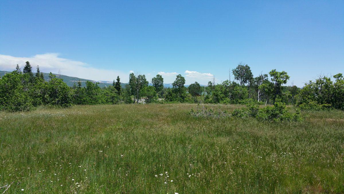 Whispering Pines Lot #23, Virgin, UT 84779
