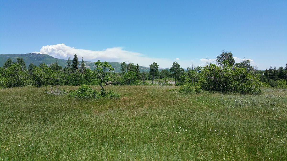 Whispering Pines Lot #23, Virgin, UT 84779