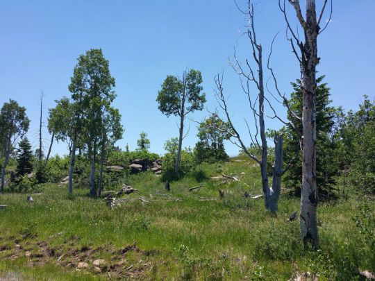 Whispering Pines Lot 23, Virgin, UT 84779