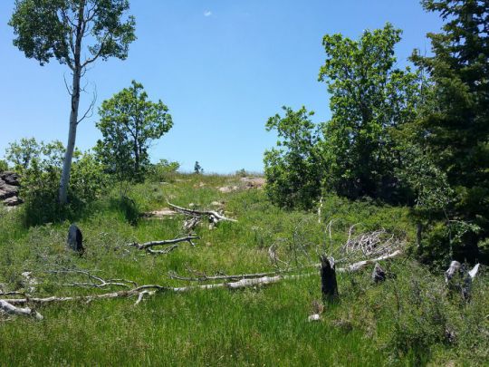 Whispering Pines Lot 23, Virgin, UT 84779