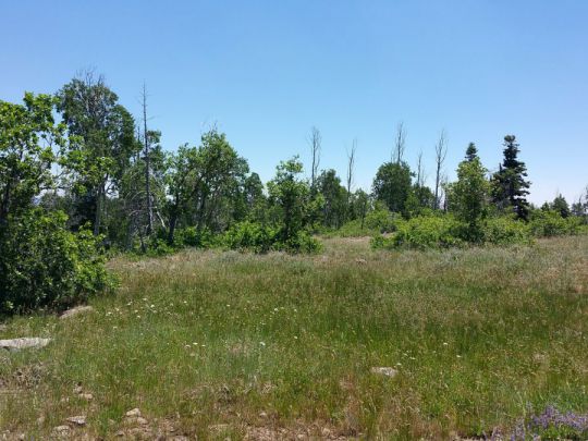 Whispering Pines Lot 23, Virgin, UT 84779