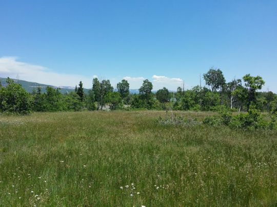 Whispering Pines Lot 23, Virgin, UT 84779