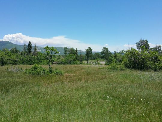 Whispering Pines Lot 23, Virgin, UT 84779