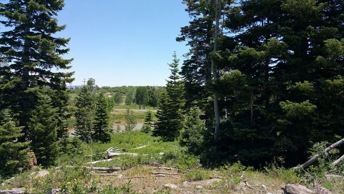 Whispering Pines Lot #53, Virgin, UT 84779