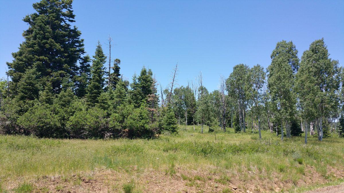Whispering Pines Lot #21, Virgin, UT 84779