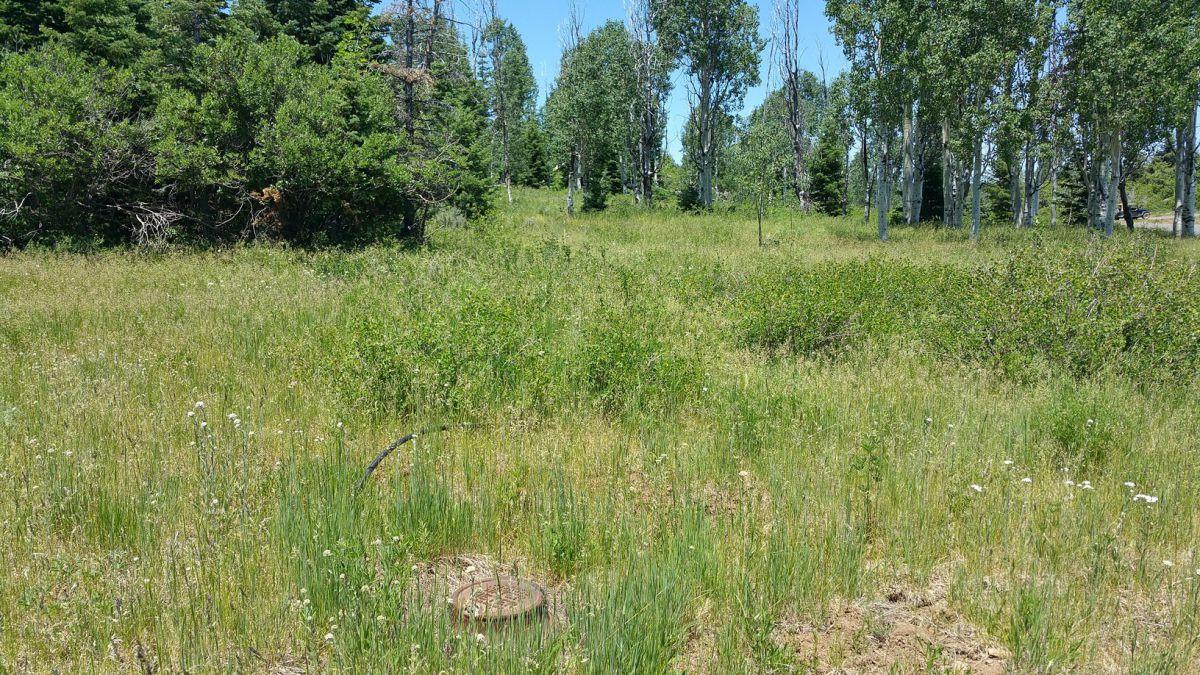 Whispering Pines Lot #21, Virgin, UT 84779