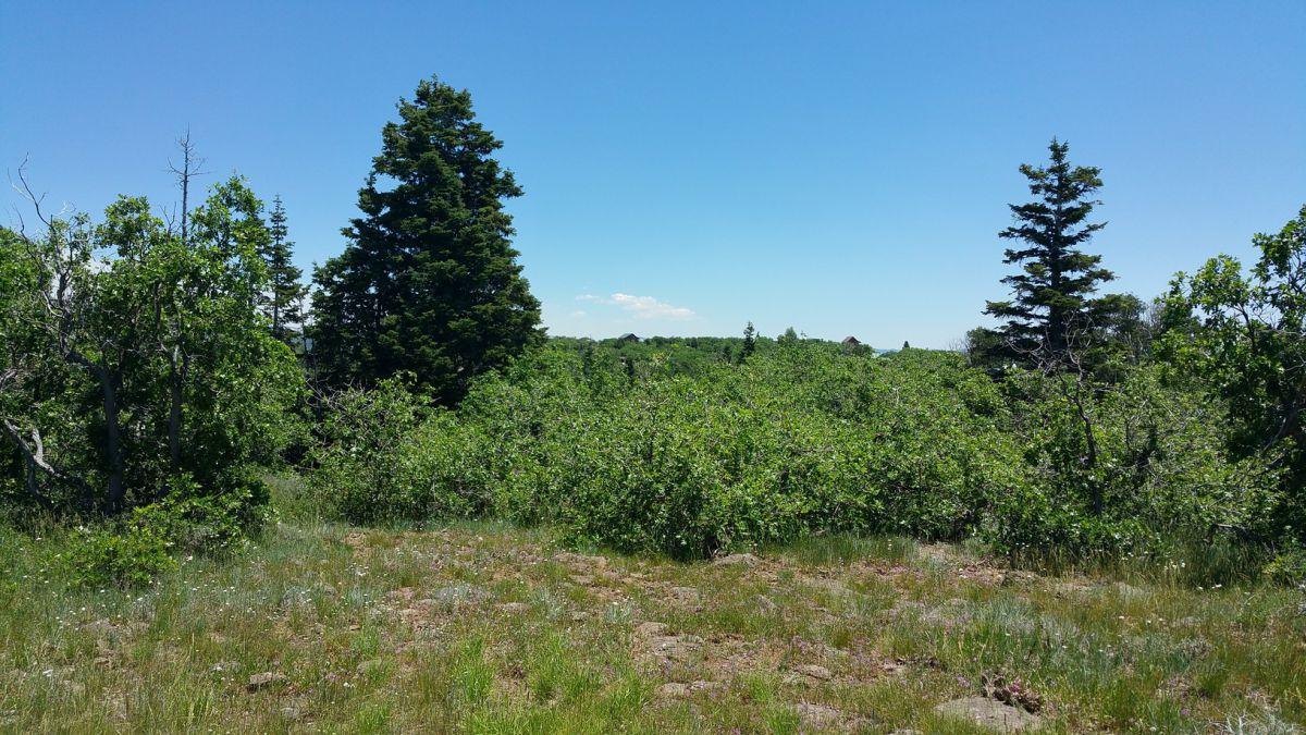 Whispering Pines Lot #21, Virgin, UT 84779