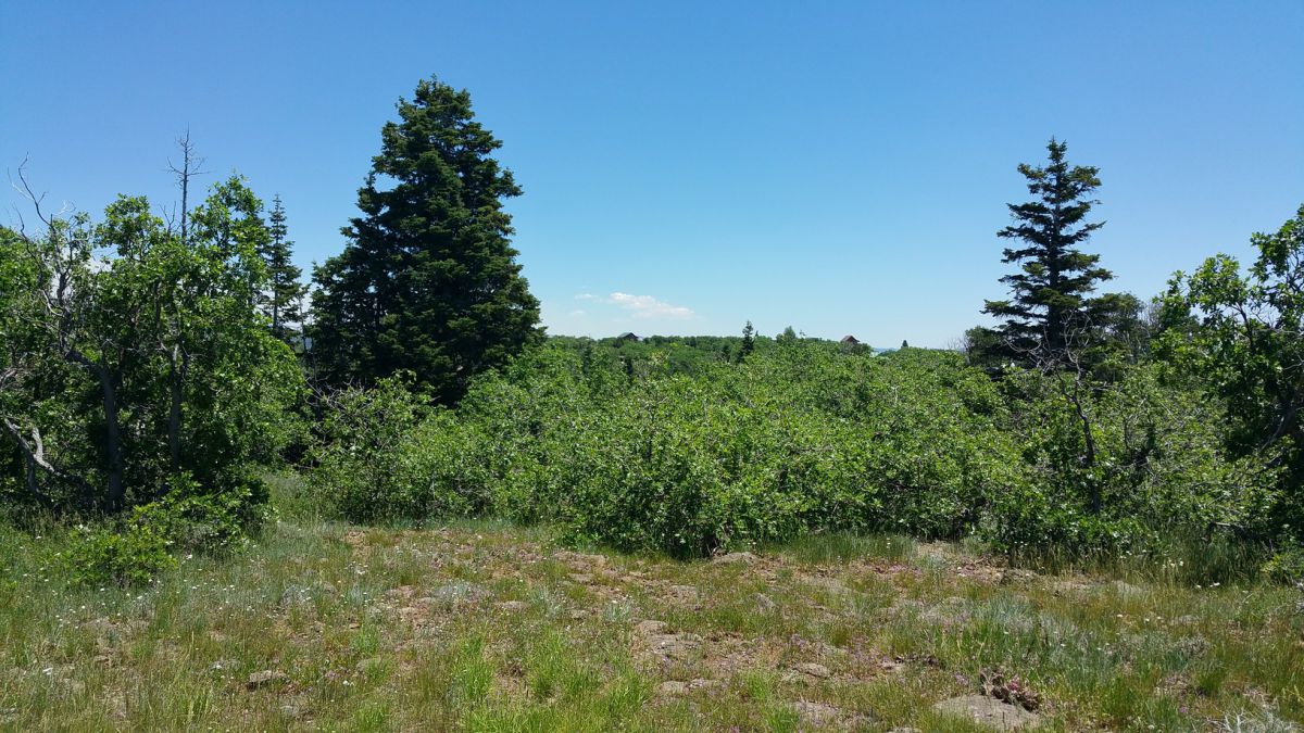 Whispering Pines Lot #21, Virgin, UT 84779