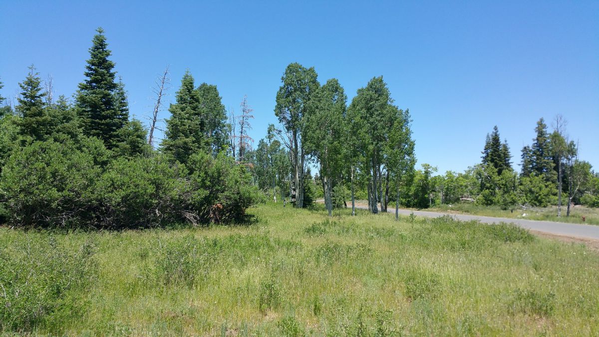 Whispering Pines Lot #21, Virgin, UT 84779