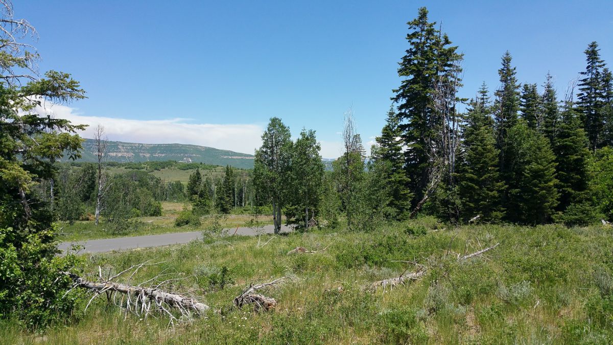 Whispering Pines Lot #57, Virgin, UT 84779