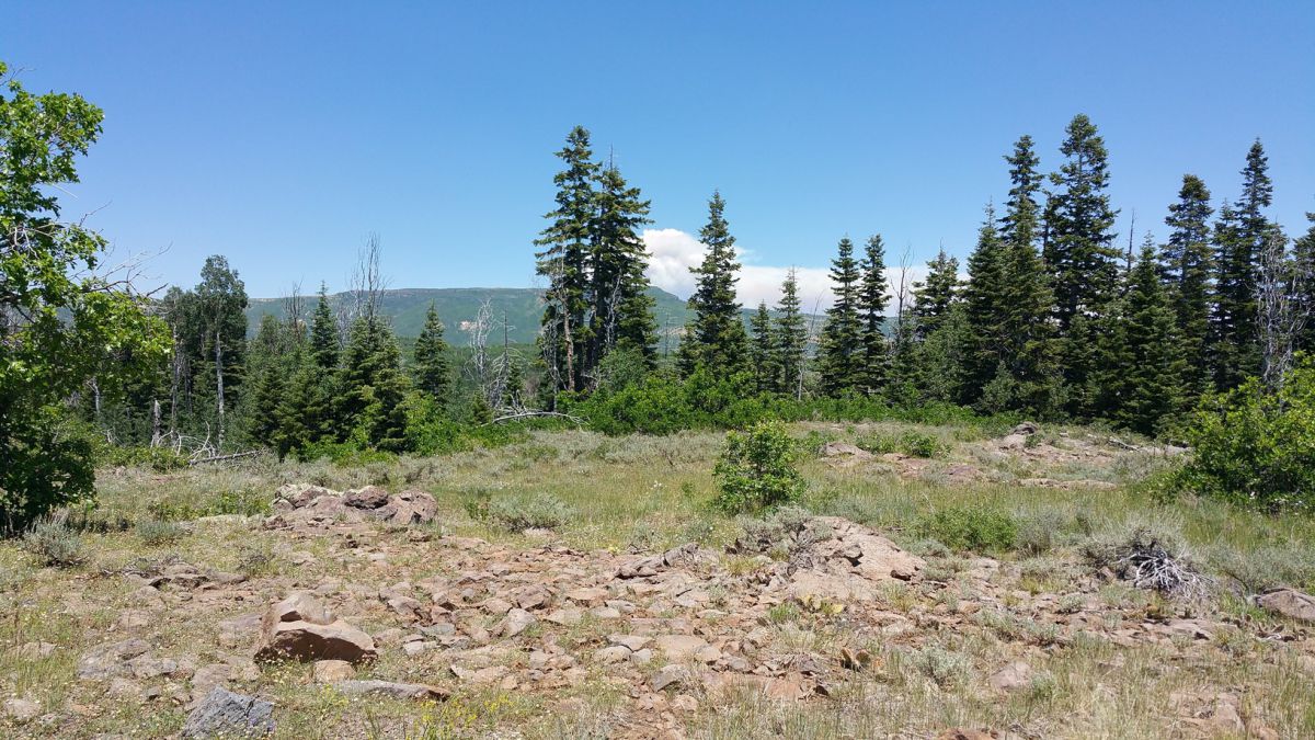 Whispering Pines Lot #57, Virgin, UT 84779