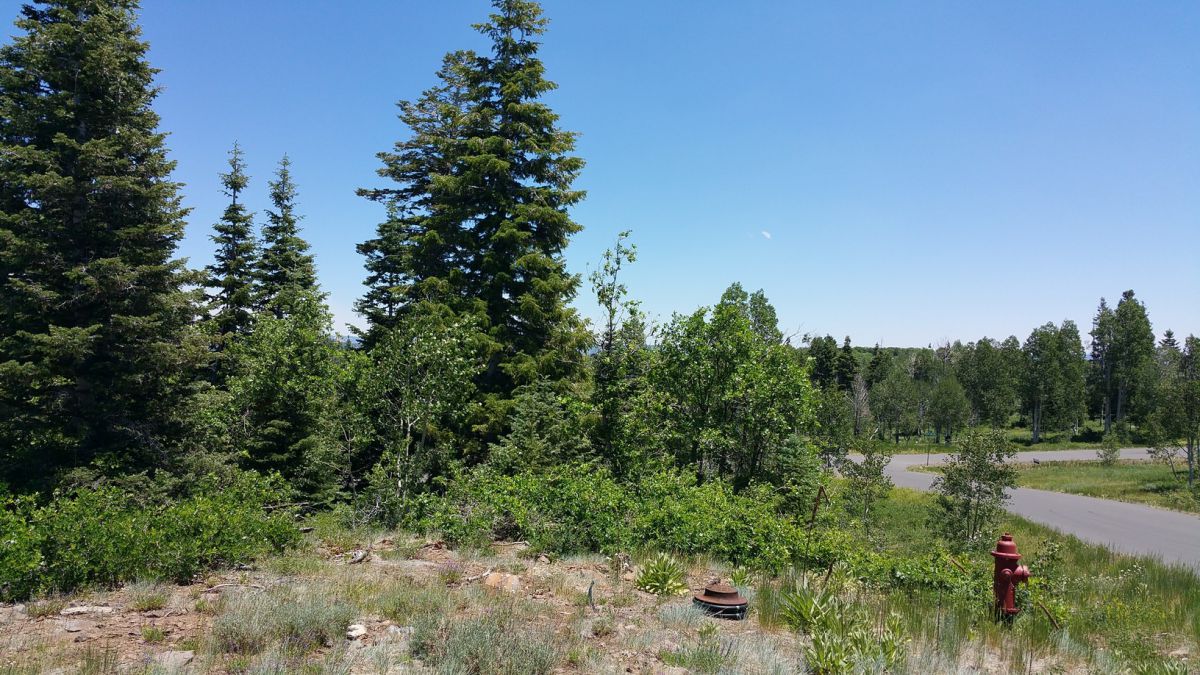 Whispering Pines Lot #53, Virgin, UT 84779