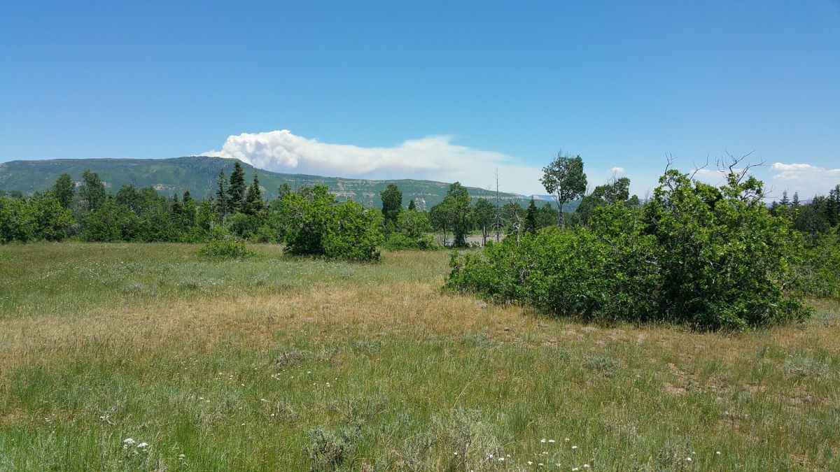 Whispering Pines Lot #23, Virgin, UT 84779
