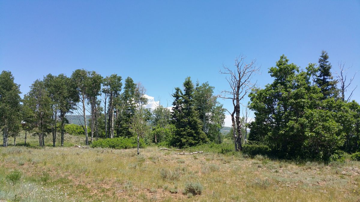 Whispering Pines Lot #27, Virgin, UT 84779