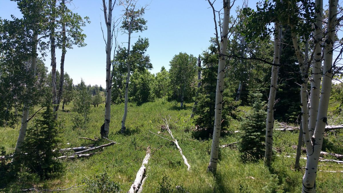 Whispering Pines Lot #27, Virgin, UT 84779
