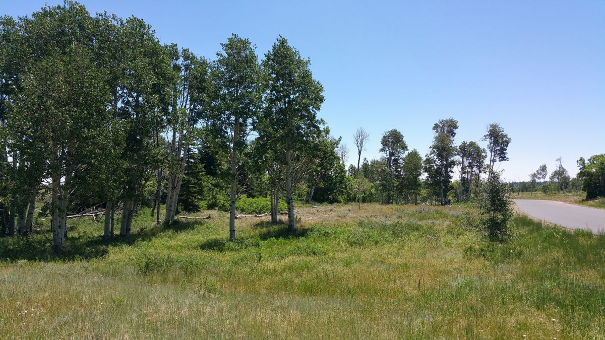 Whispering Pines Lot #27, Virgin, UT 84779