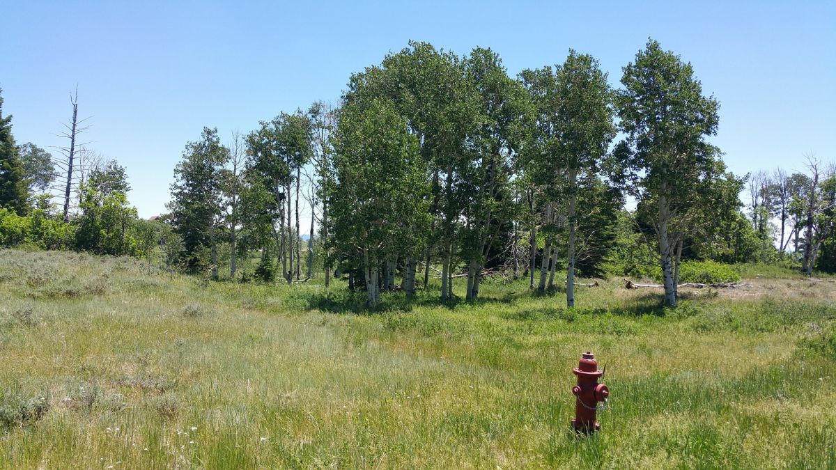 Whispering Pines Lot #27, Virgin, UT 84779