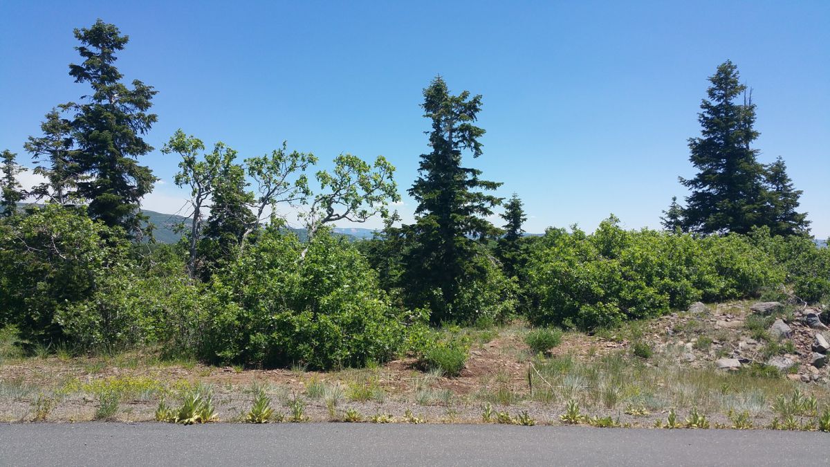 Whispering Pines Lot #7, Virgin, UT 84779