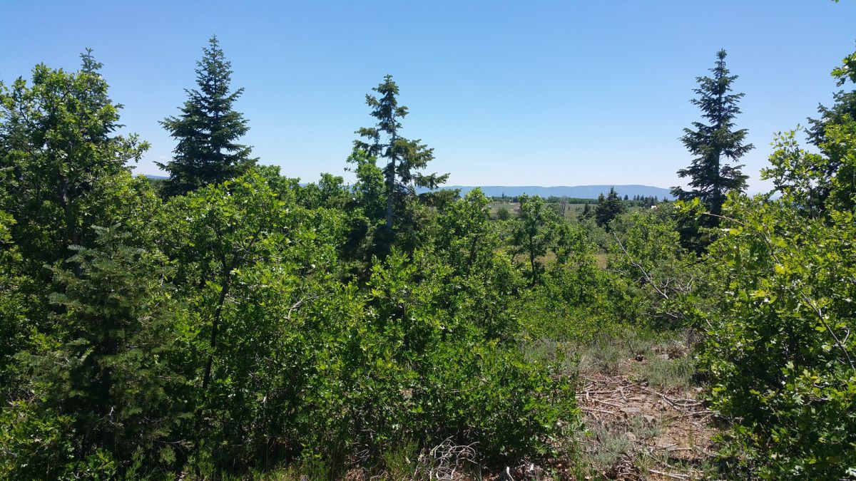Whispering Pines Lot #7, Virgin, UT 84779