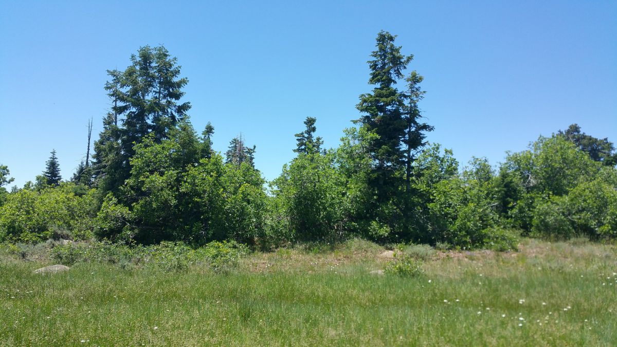 Whispering Pines Lot #7, Virgin, UT 84779
