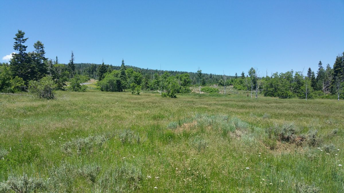 Whispering Pines Lot #7, Virgin, UT 84779