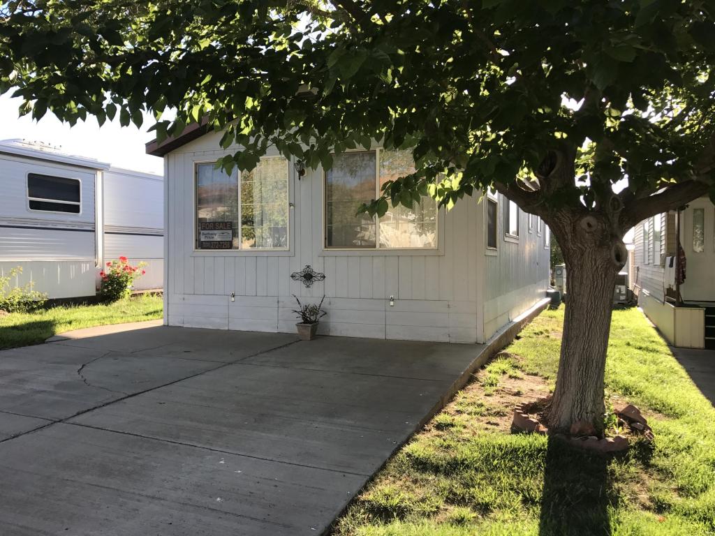 1150 W Red Hills, Washington, UT 84780