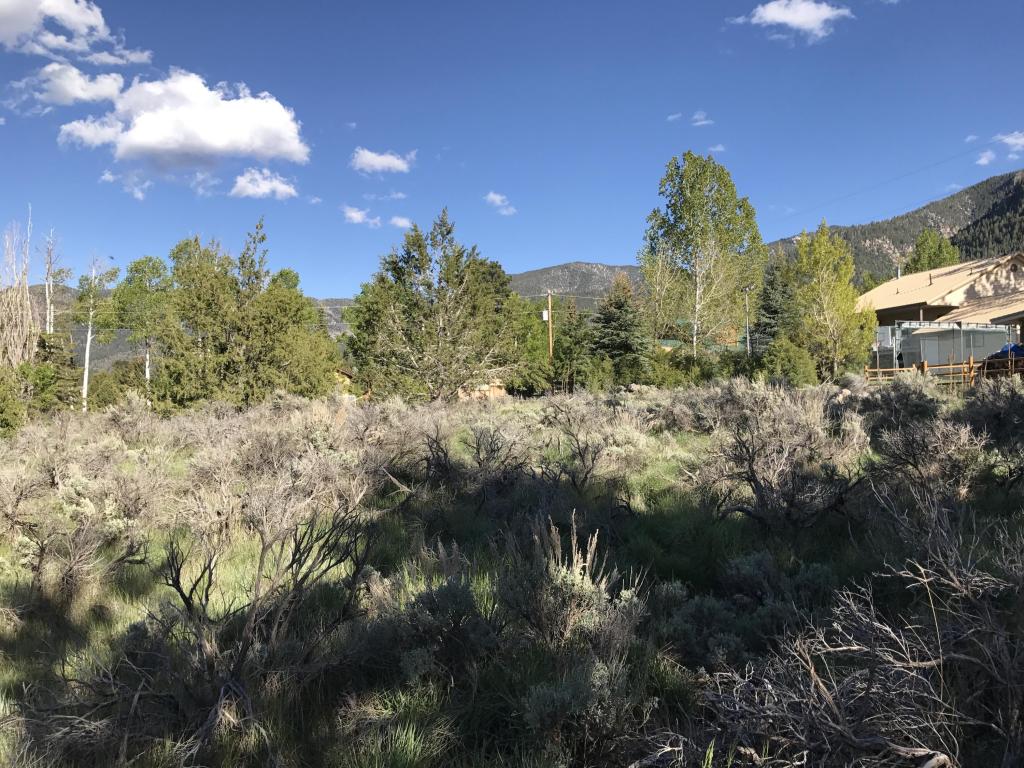 844 E Spring Creek LN, Pine Valley, UT 84781