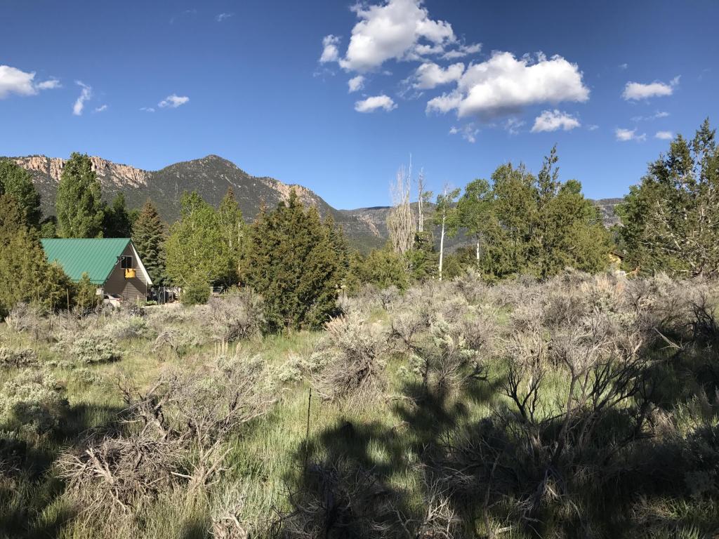 844 E Spring Creek LN, Pine Valley, UT 84781