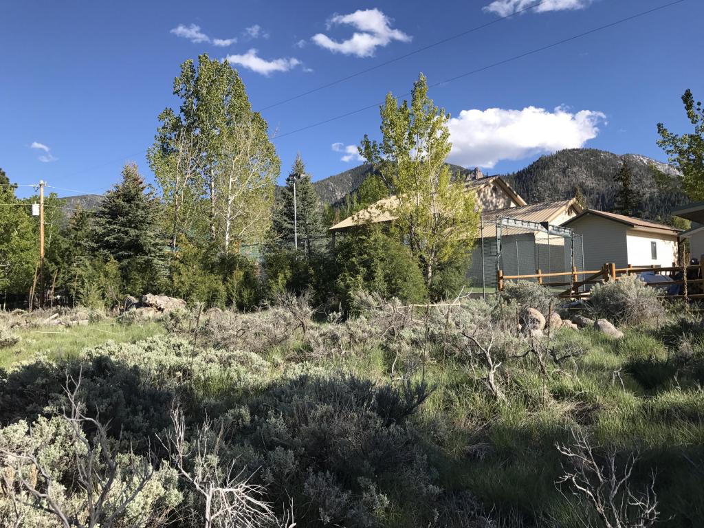 844 E Spring Creek LN, Pine Valley, UT 84781