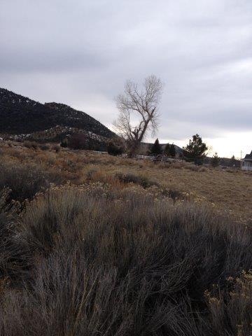 21 N 580 E, Pine Valley, UT 84781
