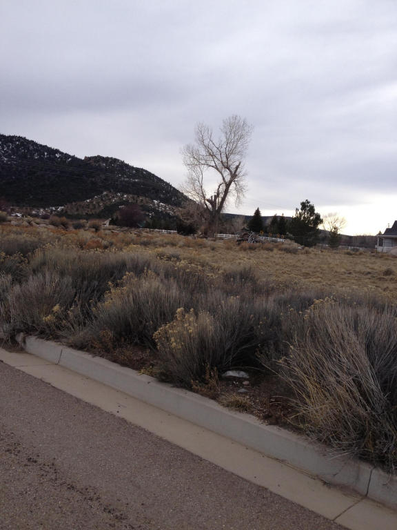 21 N 580 E, Pine Valley, UT 84781