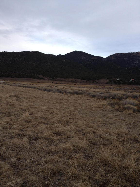 21 N 580 E, Pine Valley, UT 84781