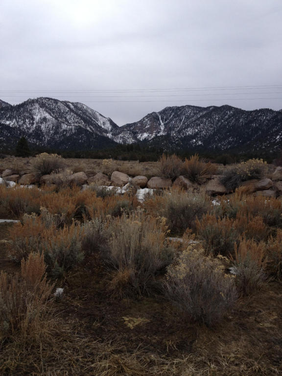 21 N 580 E, Pine Valley, UT 84781