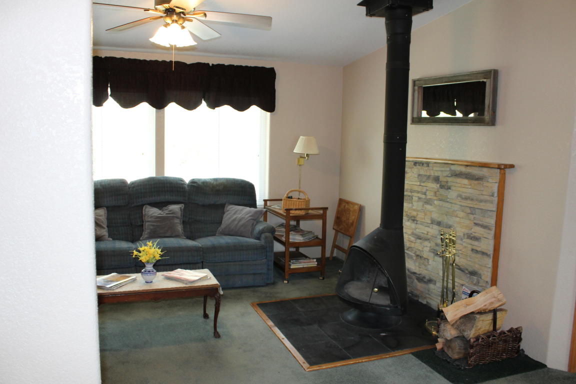 65 S 400, Pine Valley, UT 84781