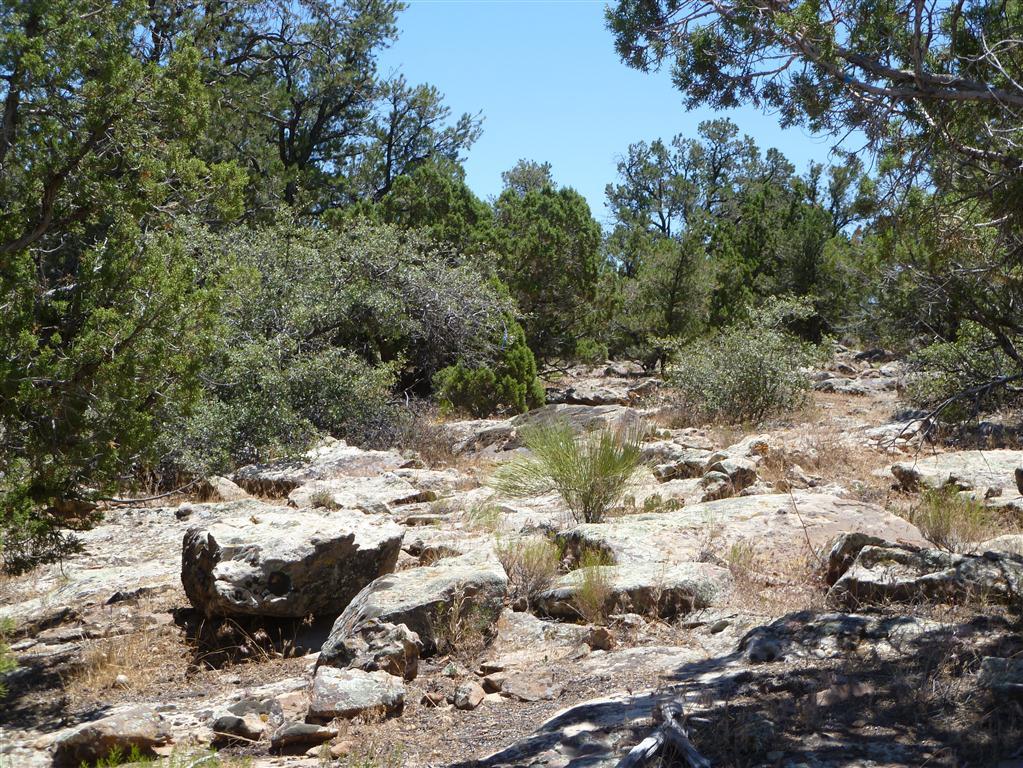 Pinion Hills DR, Dammeron Valley, UT 84783