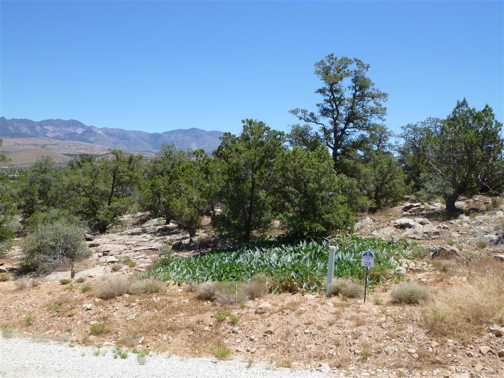 Pinion Hills Drive, Dammeron Valley, UT 84783