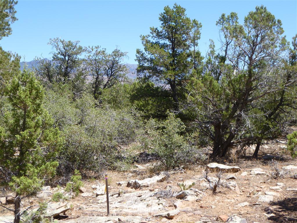 Pinion Hills Drive, Dammeron Valley, UT 84783