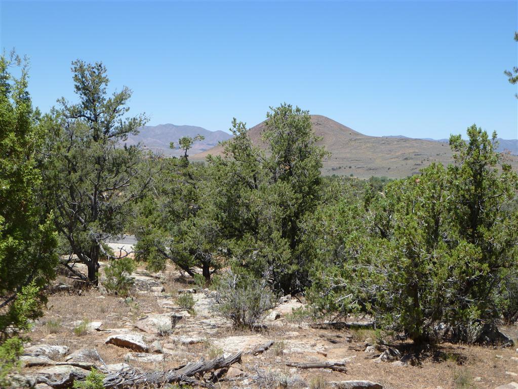 Pinion Hills Drive, Dammeron Valley, UT 84783