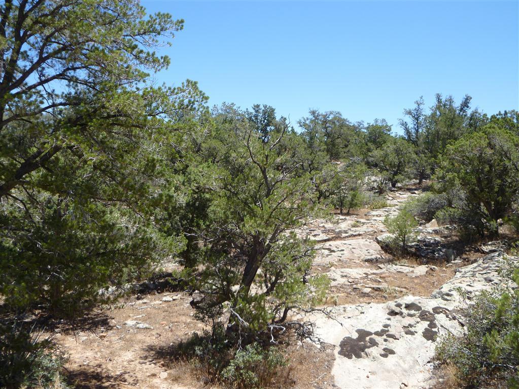 Pinion Hills Drive, Dammeron Valley, UT 84783