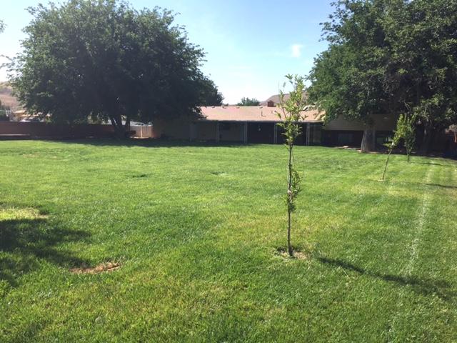 550 Saratoga DR, St George, UT 84790